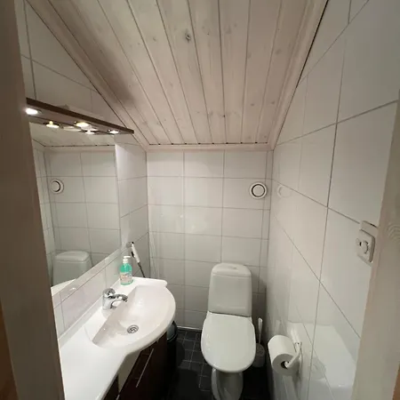 빌라 Arctic 레비