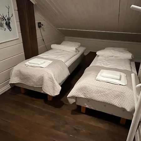 Arctic 빌라 레비