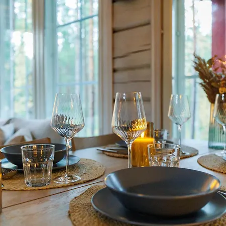Arctic Villa Levi