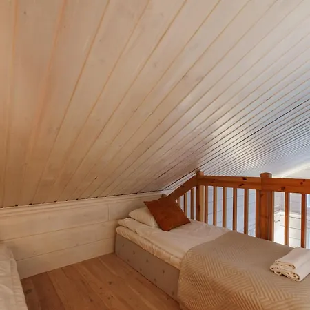 Arctic Villa Levi