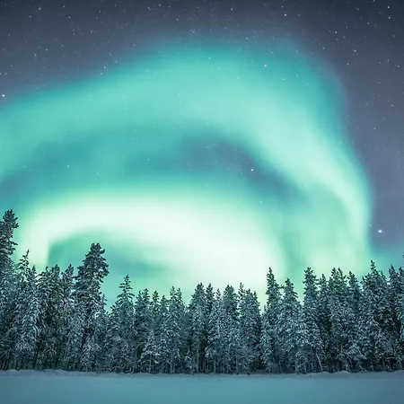 Arctic *